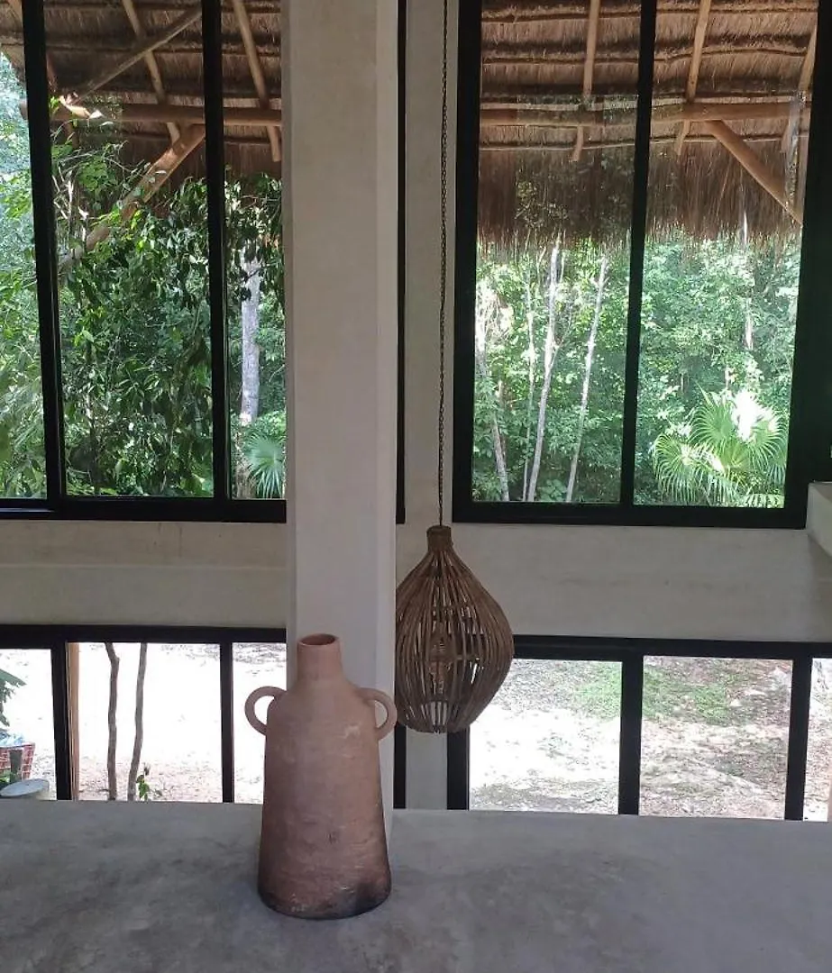 Selva Ha Villa Cancun 0*,