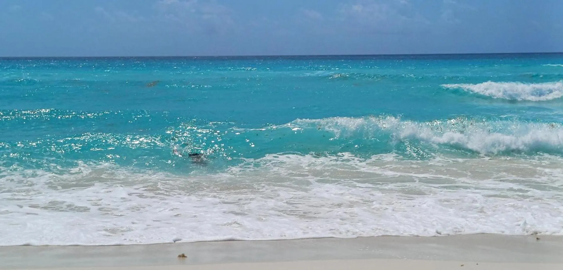 Selva Ha Villa Cancun