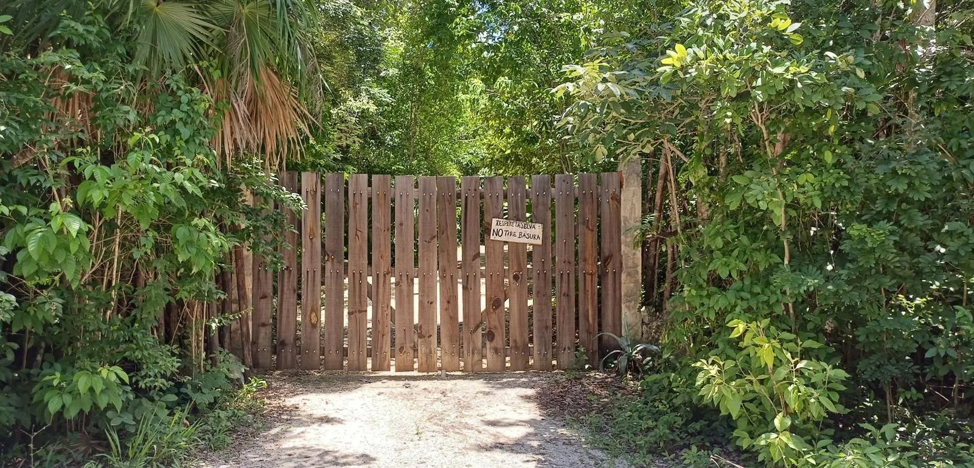 Selva Ha Villa Cancun
