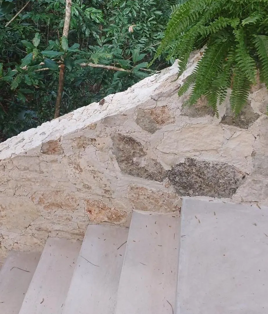 Selva Ha Villa Cancun